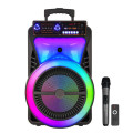 Ηχείο Ασύρματο με Λειτουργία Karaoke Party Speaker Super Bass SoundMan SM1209